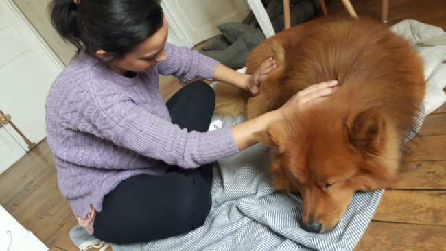 Newton massage