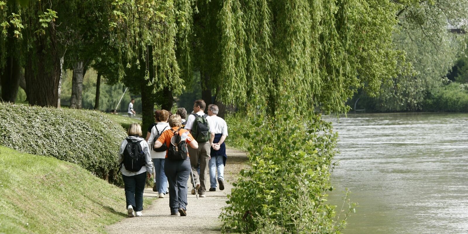 éducation canine le perreux sur marne