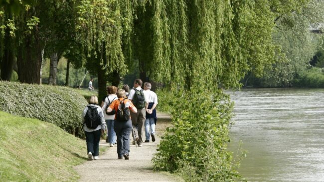 éducation canine le perreux sur marne