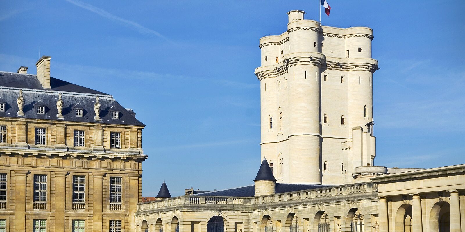 vincennes éducateur canin