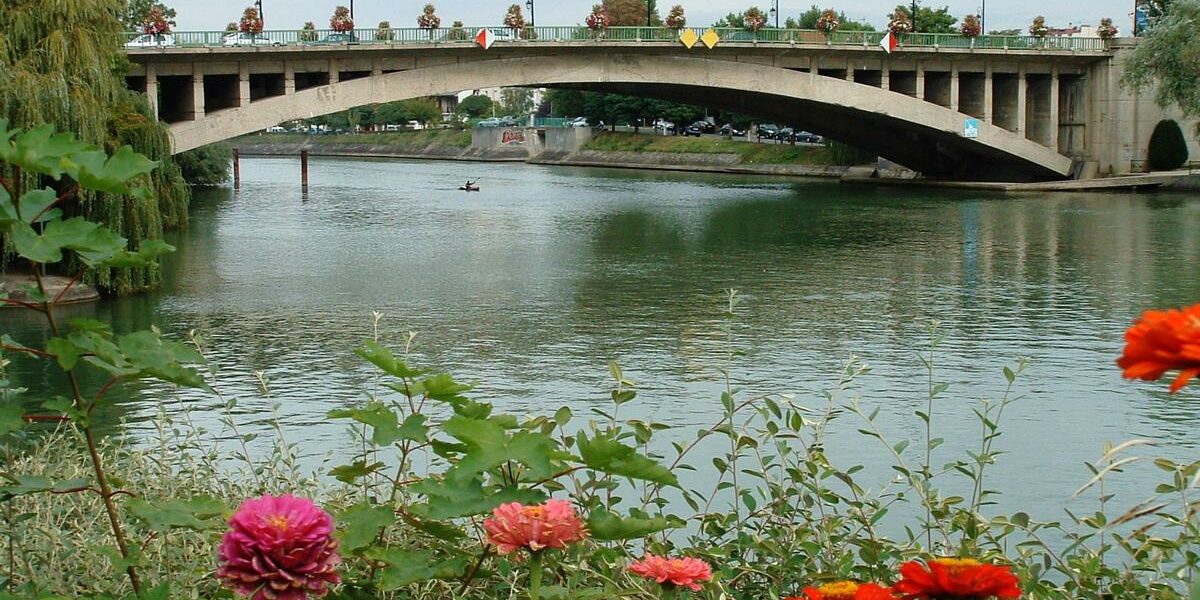 joinville le pont éducateur canin