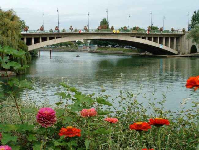 joinville le pont éducateur canin