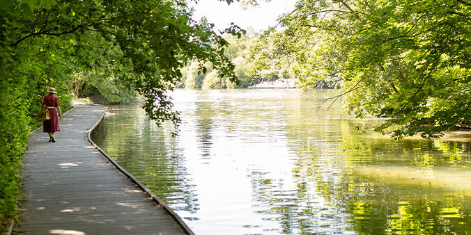maisons alfort éducateur canin
