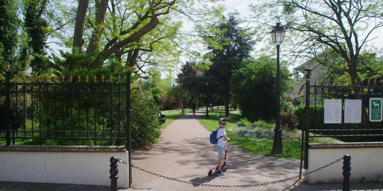 neuilly plaisance éducation canine