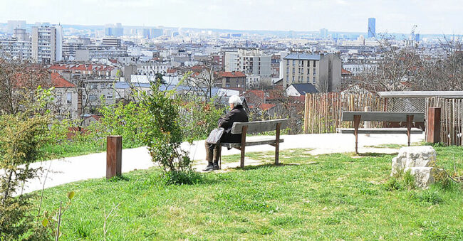 parc_carrieres éducateur canin fontenay