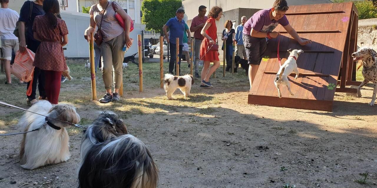 parcatoutou éducateur canin saint maur des fossés