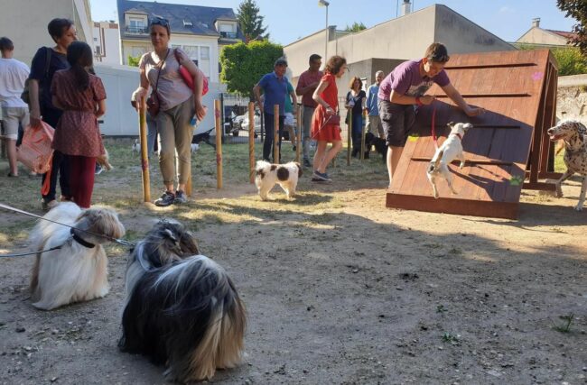 parcatoutou éducateur canin saint maur des fossés